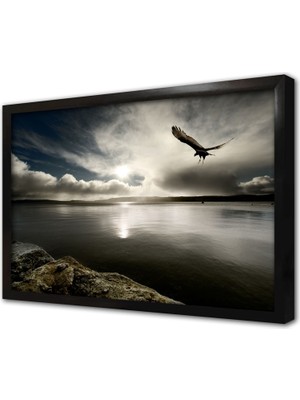 Tablosan Gece Vakti Gökyüzünde Kartal Çerçeveli Cam Tablo