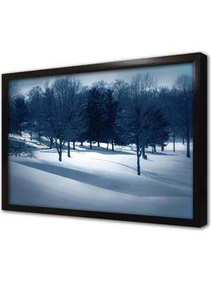Tablosan Karlar Altın Da Kalmış Orman Çerçeveli Cam Tablo