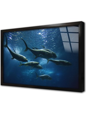 Tablosan Yunus Çerçeveli Cam Tablo