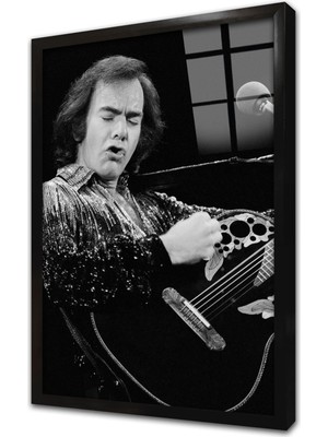 Tablosan Musician Çerçeveli Cam Tablo