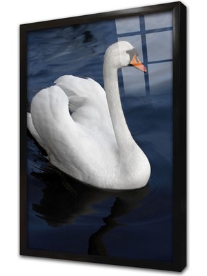 Tablosan Beyaz Kuğu Çerçeveli Cam Tablo