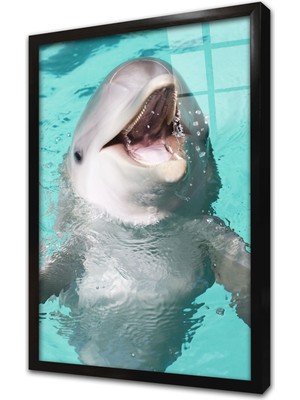 Tablosan Yunus Çerçeveli Cam Tablo