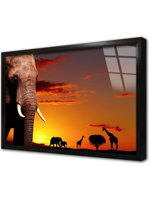 Tablosan Fil Zürafa Safari Çerçeveli Cam Tablo