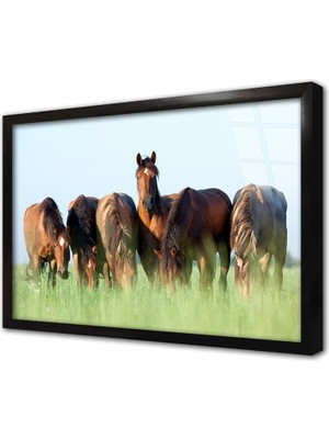 Tablosan At Çerçeveli Cam Tablo