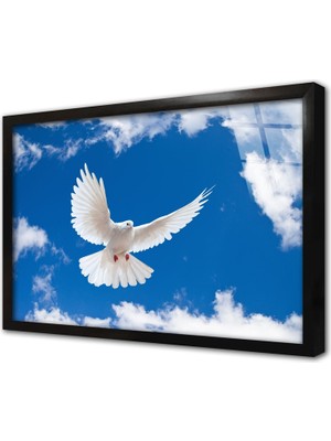 Tablosan Beyaz Güvercinler Çerçeveli Cam Tablo