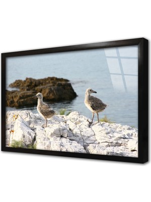 Tablosan Martı Çerçeveli Cam Tablo