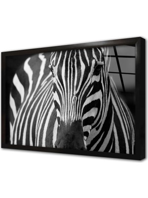Tablosan Yakın Çekim Zebra Çerçeveli Cam Tablo