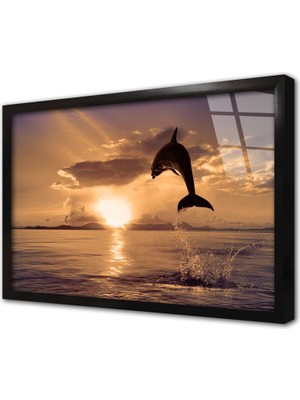 Tablosan Yunus Çerçeveli Cam Tablo