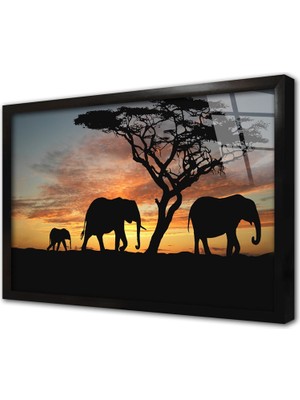 Tablosan Safari Çerçeveli Cam Tablo
