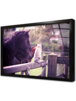 Tablosan At Çerçeveli Cam Tablo