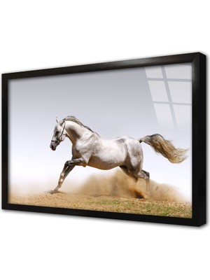Tablosan Koşan Beyaz At Çerçeveli Cam Tablo