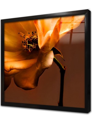 Tablosan Çiçek Çerçeveli Cam Tablo