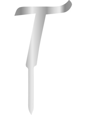 Pastaland Aynalı Gümüş Pleksi T Harfi