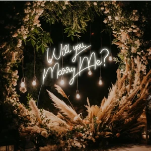 Honey Concept Wi̇ll You Marry Me Neon LED