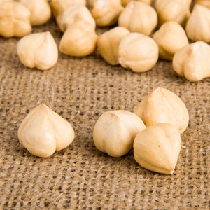 Tek Kavrulmuş Fındık Içi 250GR