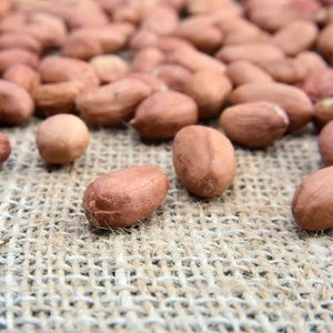 Çiğ Fıstık Içi 250GR