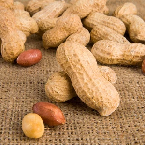 Çiğ Kabuklu Fıstık 250GR