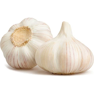 Ekim Tarım Sarımsak Taşköprü Organik 1 kg