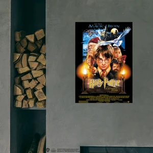 Warner Bros Harry Potter And The Sorcerer’s Stone 50X70 cm