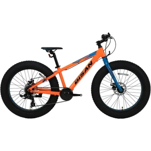 Skater 24 Jant Fatbike turuncu renk