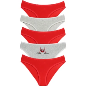 Kadın Basic Karışık Renkler Likralı Slip Kül Paket Set KTS1075