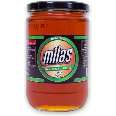 Milas Üreticiler Birliği Çam Balı 850