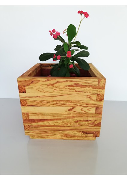 Ahşap Saksı zeytin ağacı 30x30x30