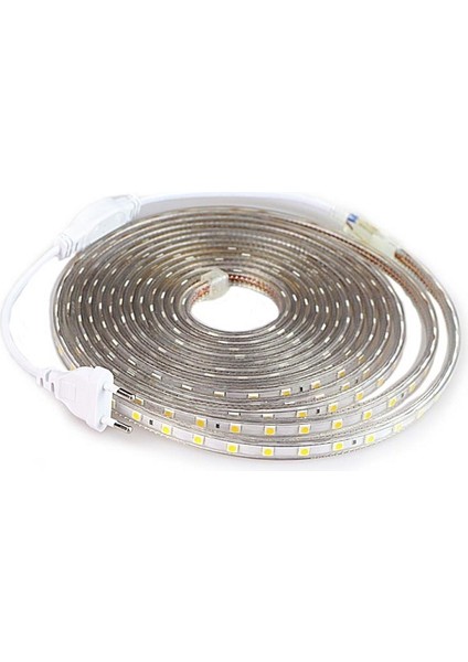 3 Çip 220 V Dış Mekan Kare Hortum LED 80MT