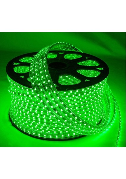 220 Volt Dış Mekan Hortum LED CT-4552 Yeşil Işık