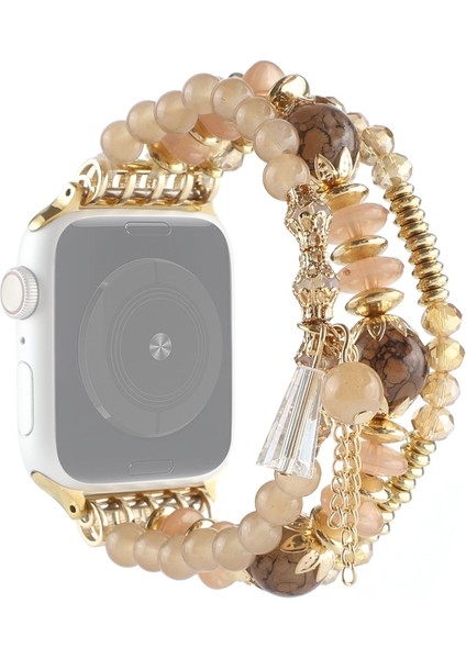 Apple Inci Kayış Serisi (Yurt Dışından)