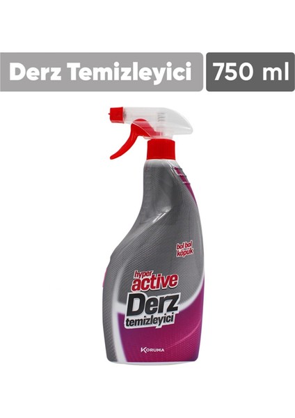 Derz Temizleyici Sprey 750 ml