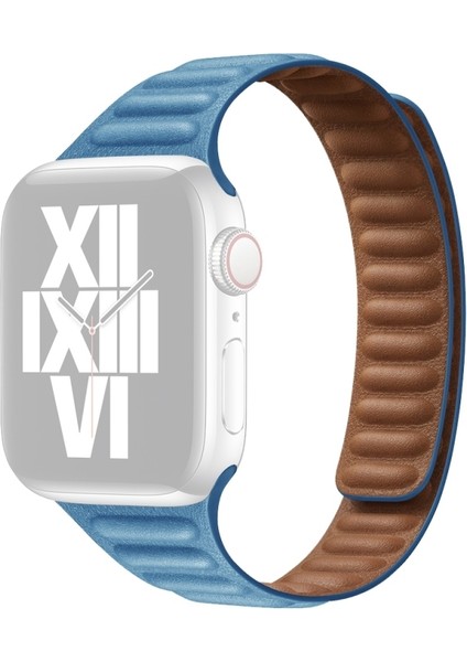 Apple Watch Uyumlu 7 45MM / 6 & Se & 5 & 4 44MM / 3 & 2 & 1 42MM Için Kayış Krizantem Mavisi