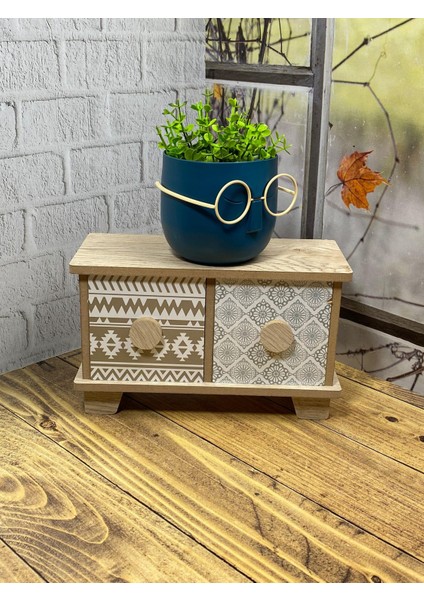 Profesör Saksılar Yapay Çimli Sukulent Gözlüklü Saksı