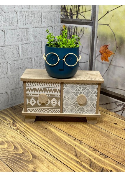 Profesör Saksılar Yapay Çimli Sukulent Gözlüklü Saksı modelleri