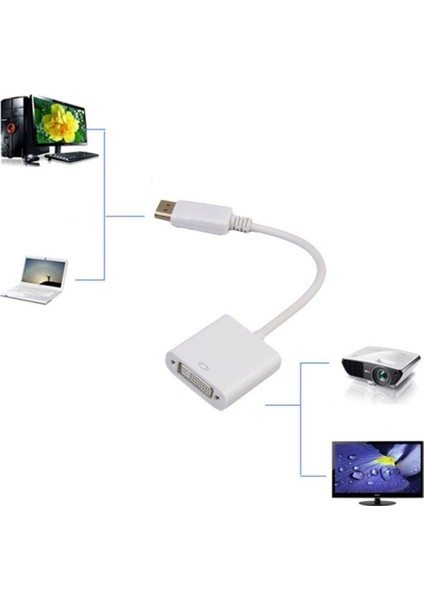 D6 150MM Dp (Dişi) To DVI (Erkek) Adaptör