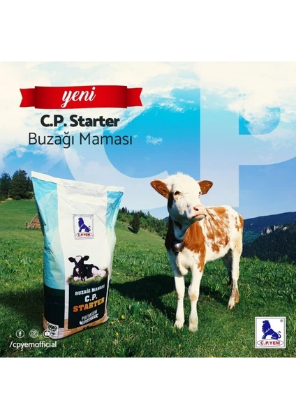 Cp Starter Buzağı Maması 25KG Yüksek Proteinli