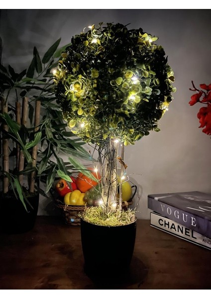 LED Işıklı Şimşir Top Yılbaşı Ağacı Tek Toplu 23CMX45CM Siyah Saksılı fiyatları