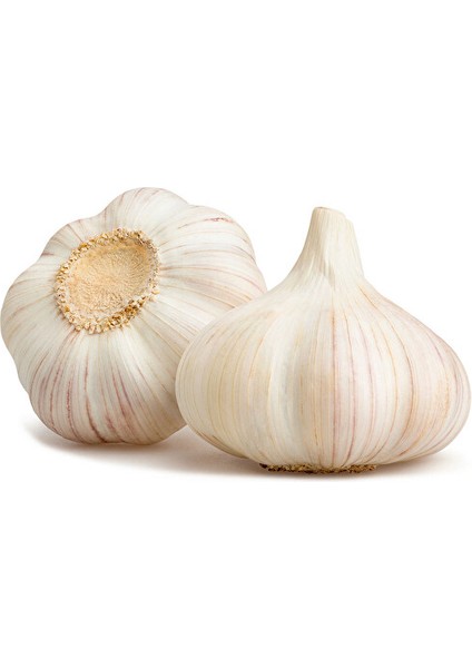 Sarımsak Taşköprü Organik 1 kg
