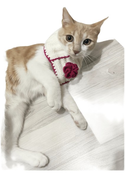 El Örgüsü Kedi Boyunluk Aksesuarı Medium Beyaz - Pembe fiyatları