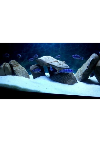 Akvaryum Kumu Beyaz Kalsit Silis Akvaryum Kumu 1 - 2 mm 1 Kg