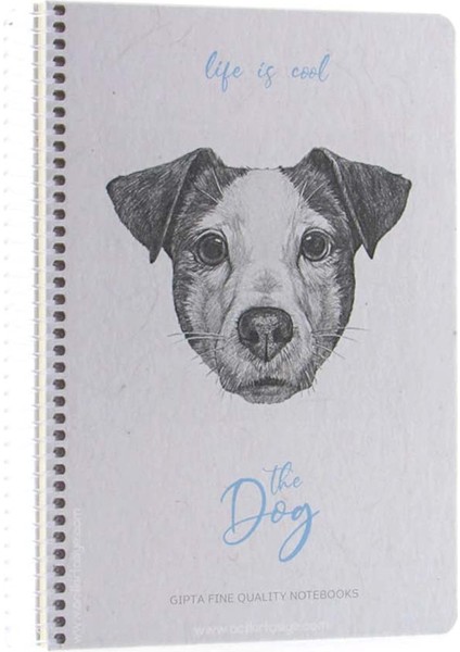 Life Is Cool Spiralli Kareli Defter 120 Yaprak 19 x 26 cm