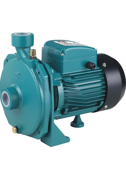 CPM158 Model Salyangoz Fanlı 1hp Su Pompası