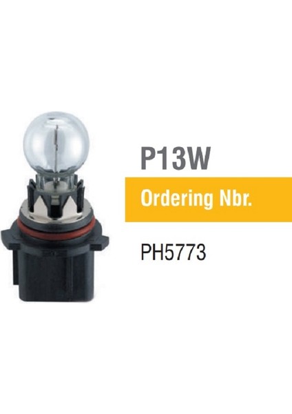P13W Oto Halojen Ampul