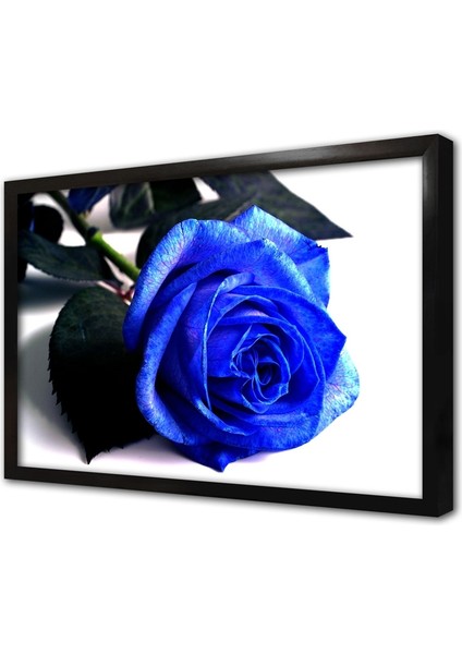 Beyaz Fonda Mavi Gül Çerçeveli Cam Tablo