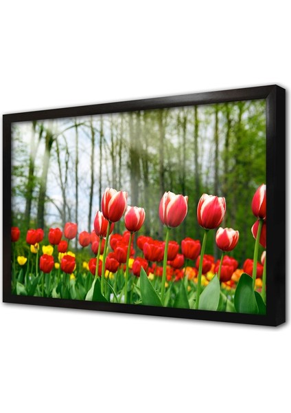 Sarı Kırmızı Laleler Çerçeveli Cam Tablo