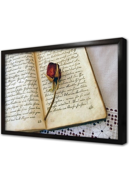 Kitabın Arasındaki Gül Çerçeveli Cam Tablo
