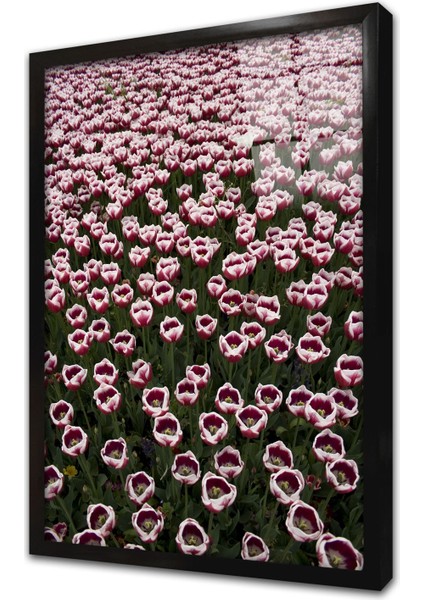 Çiçek Çerçeveli Cam Tablo