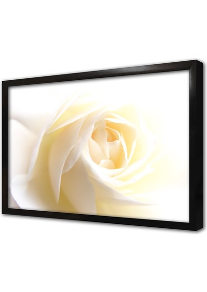 Makro Çekim Çerçeveli Cam Tablo