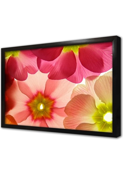 Çiçek Illüzyon Çerçeveli Cam Tablo