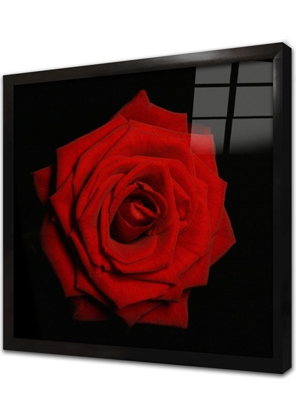 Siyah Fon Üzerinde Kırmızı Gül Çerçeveli Cam Tablo
